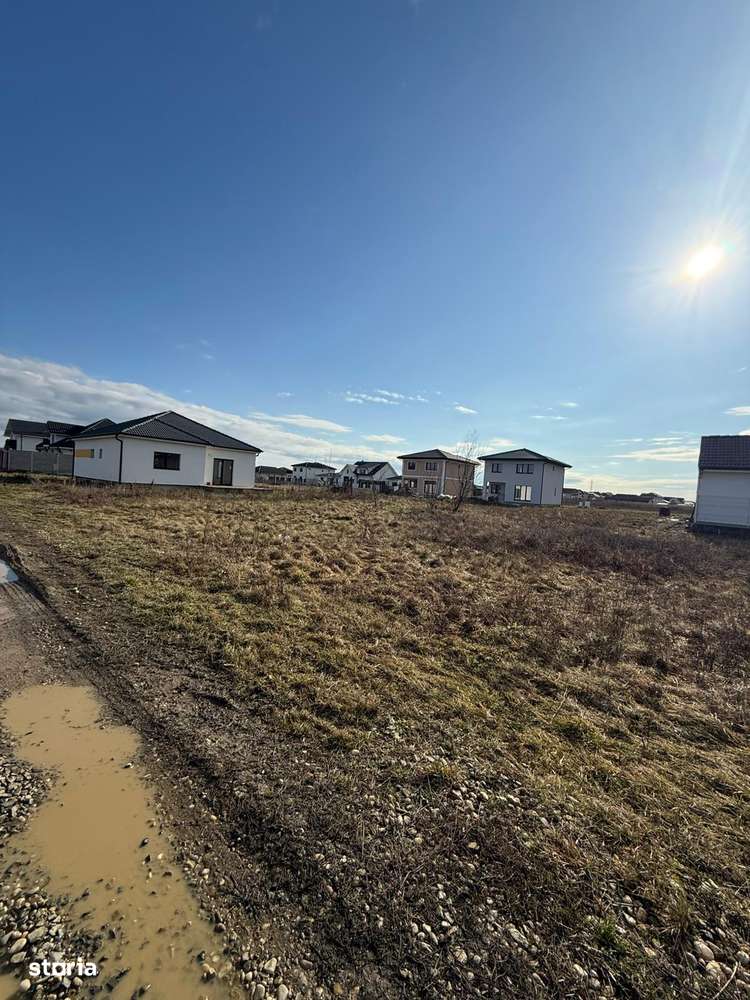 Teren intravilan de vânzare – Păulești | 734 mp | Zonă nou dezvoltată-5