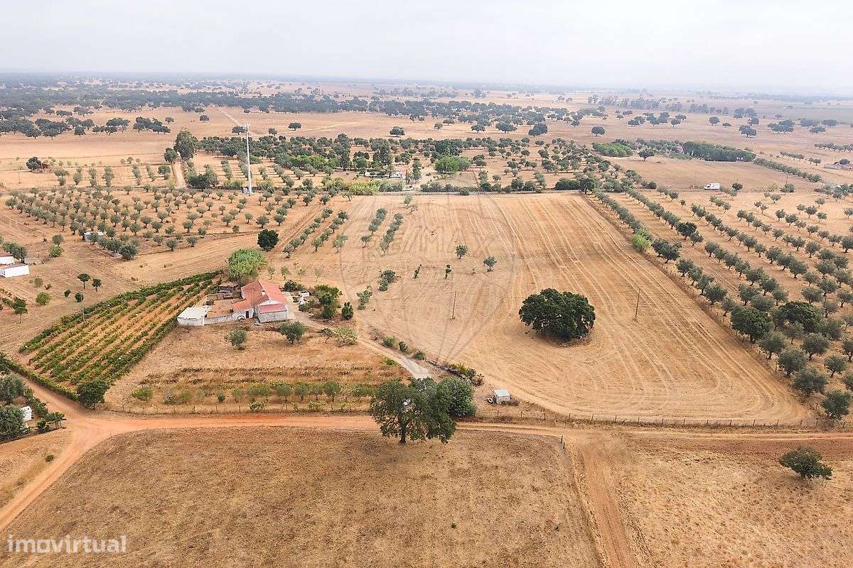 Quinta  para venda - Grande imagem: 2/50