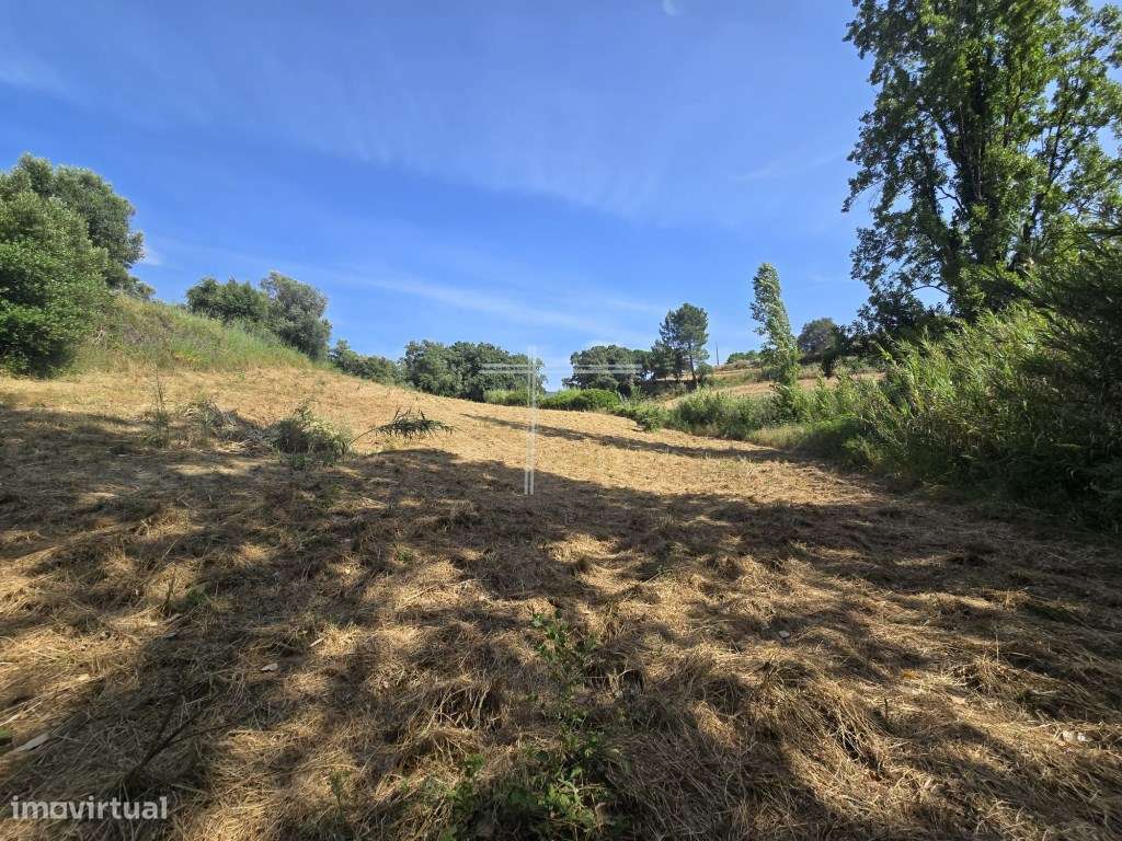 Terreno rústico com 11000m2 - Azeitão - Grande imagem: 2/14