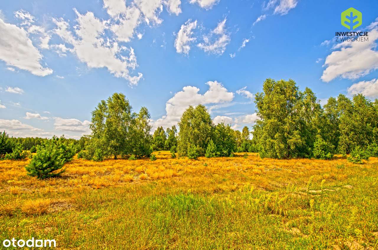Ostatnie działki k/Mińska Mazowieckiego w takiej cenie! - Pełny obrazek: 5/10