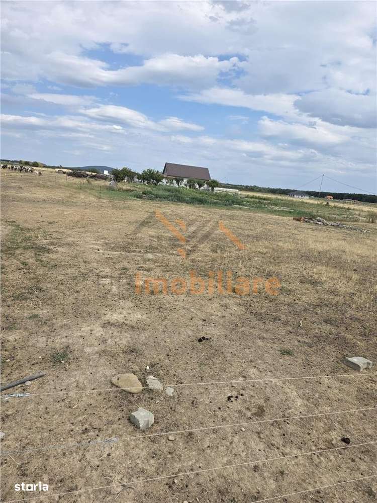 TEREN INTRAVILAN 568 MP | PROIECT CASA | CIHEI - SANMARTIN | BIHOR-1