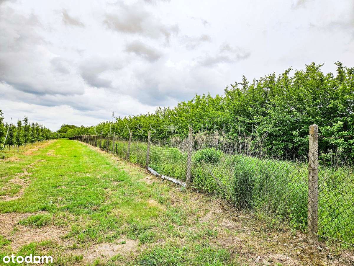 ⚡Chłodnia⚡Gospodarstwo rolne⚡Sad jabłoniowy⚡ - Pełny obrazek: 4/15