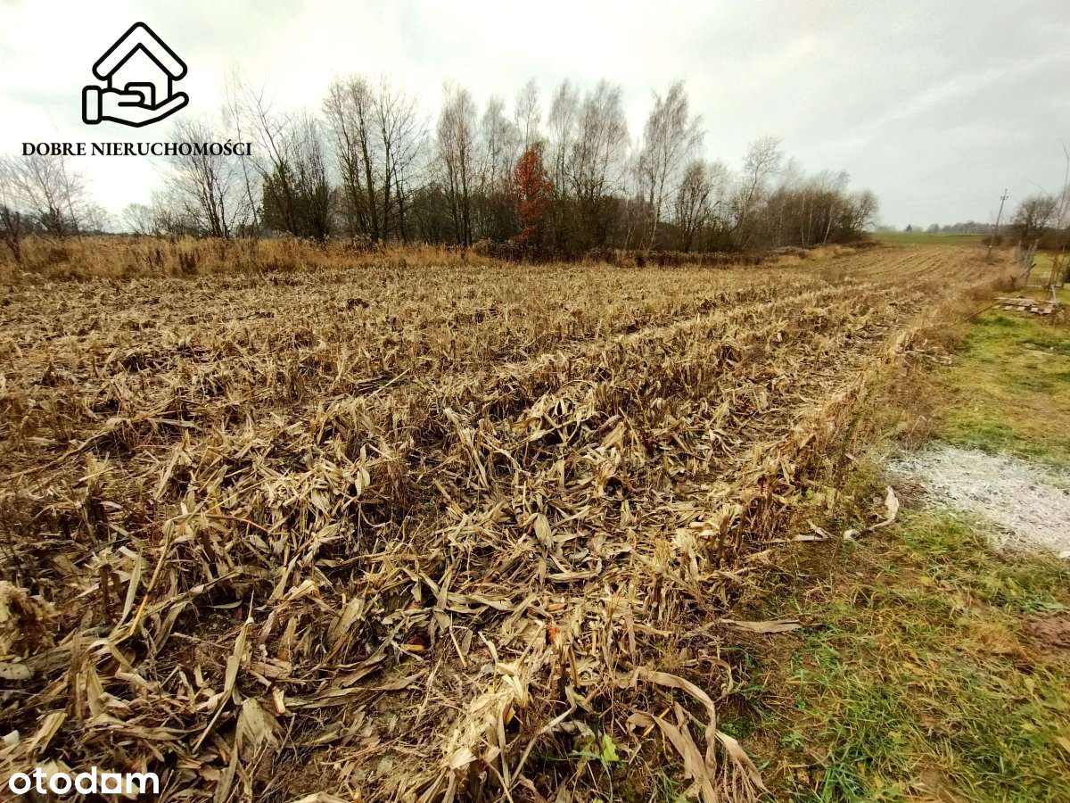 Dz. pod Lublinem w cichej okolicy Płouszowice Kol.-2