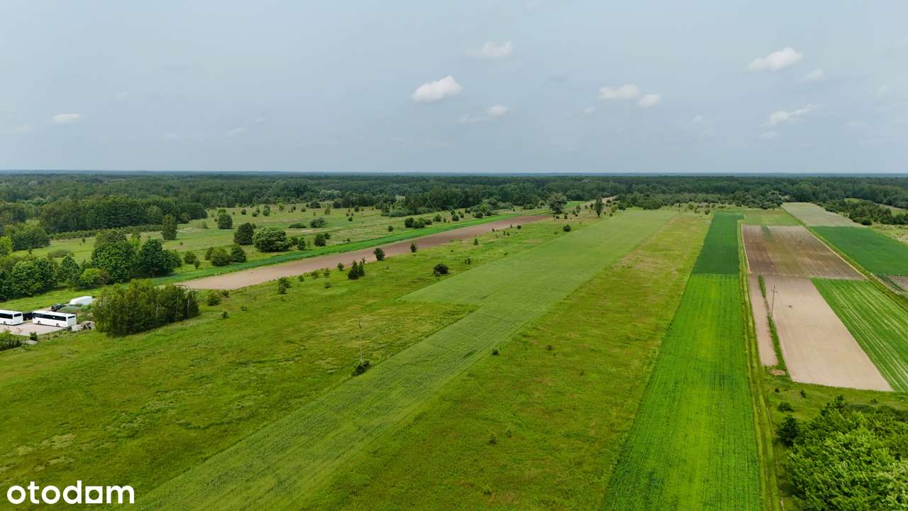 GOTOWE NA GOSPODARSTWO: 48 000 m² z możliwością rozszerzenia do 7,3 ha-5