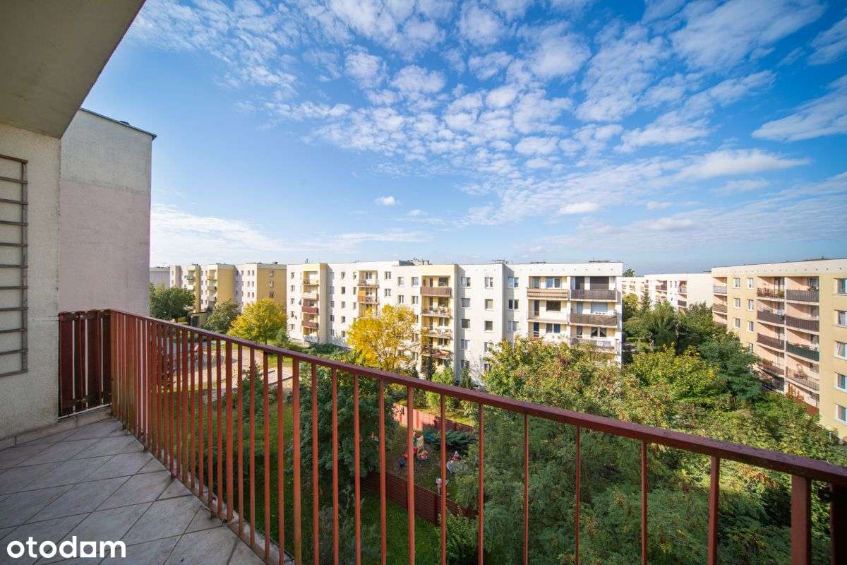 Konstruktorów - 3 pokoje + kuchnia - odświeżone!-15