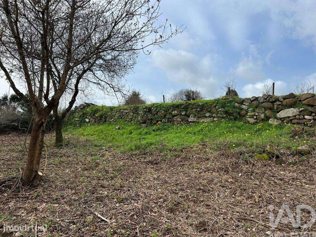 Terreno em Almargem do Bispo, Pêro Pinheiro e Montelavar - Grande imagem: 5/16
