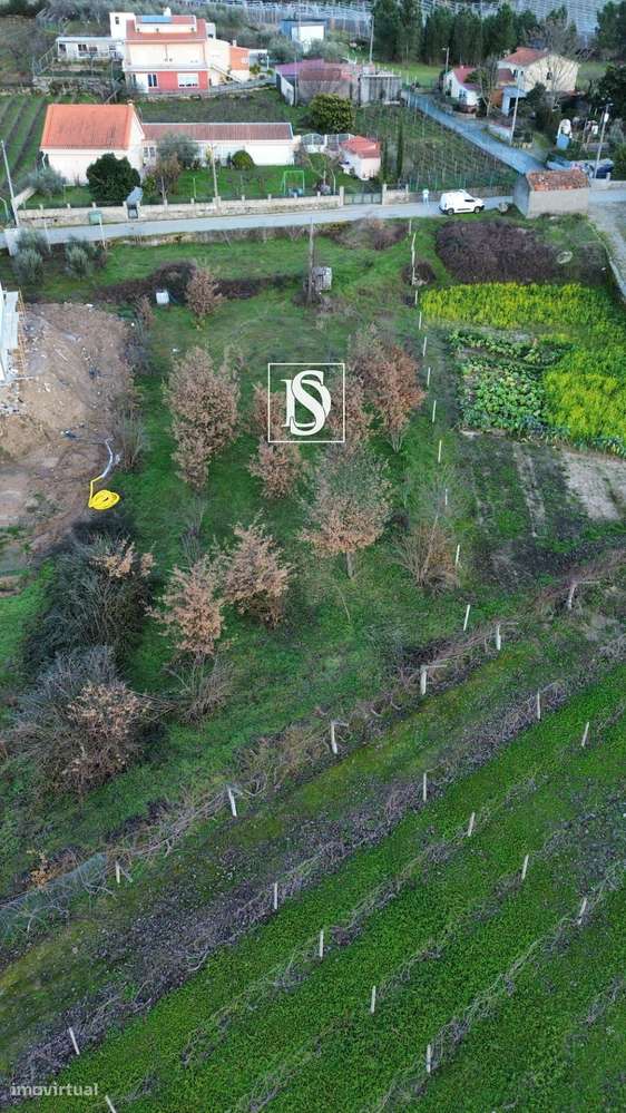 Terreno em Rossas-Lamego - Grande imagem: 5/8