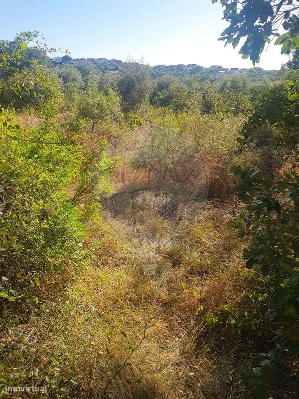 Terreno  para venda - Grande imagem: 3/15