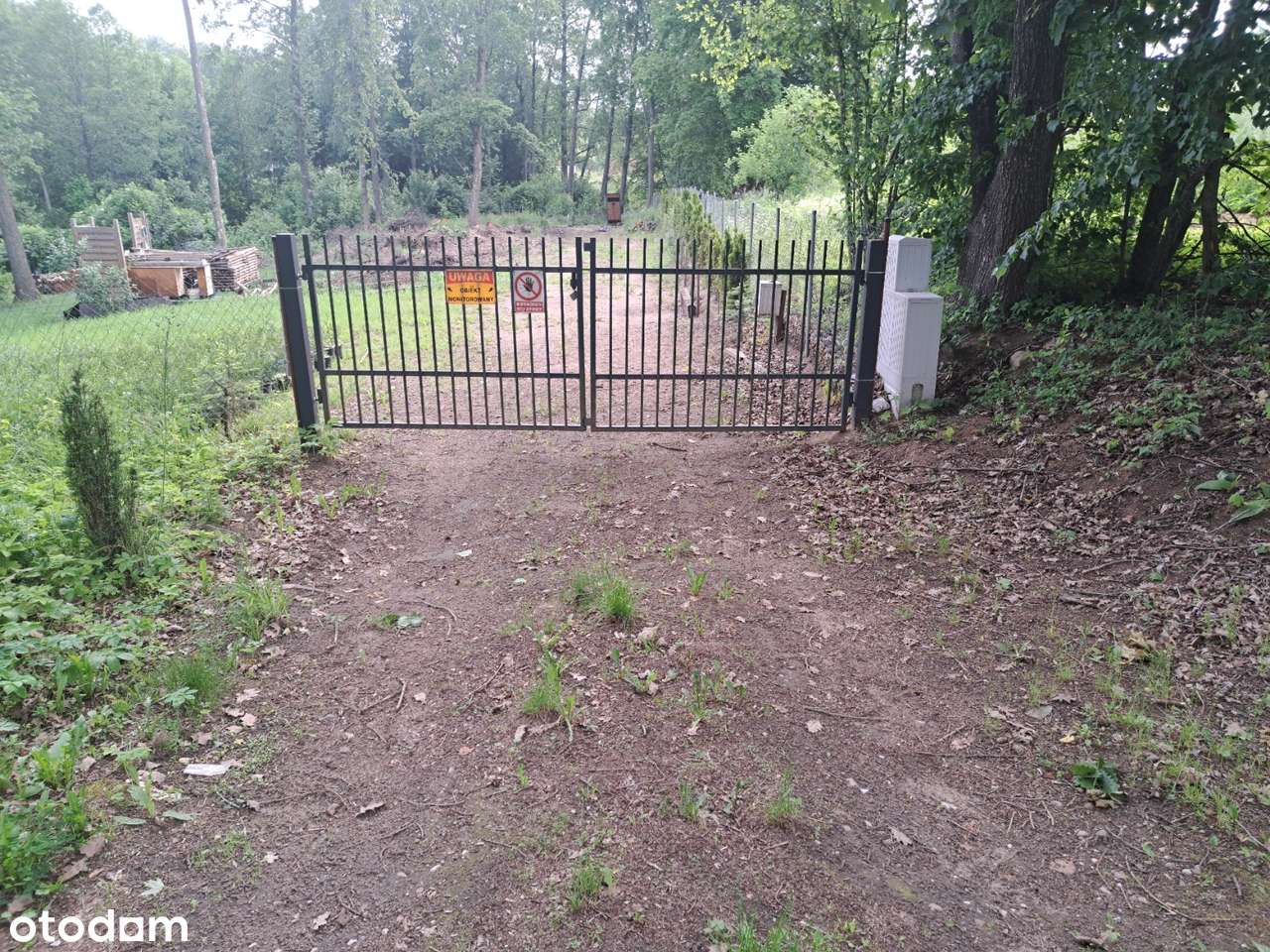 Sprzedam działkę rolną z linią brzegową – Mazury, Doliwy | Natura 2000 - Pełny obrazek: 4/10