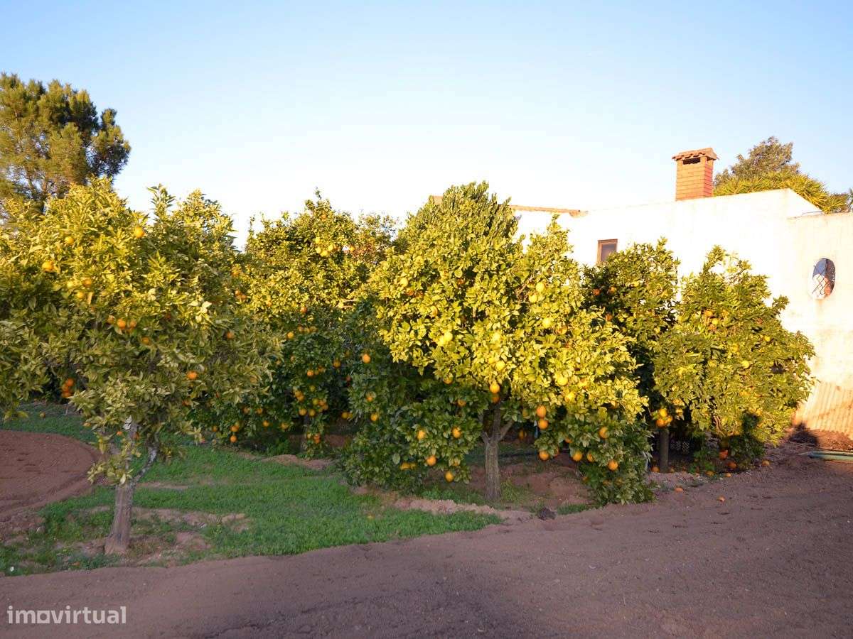 Moradia T4 com Piscina - Grande imagem: 5/28