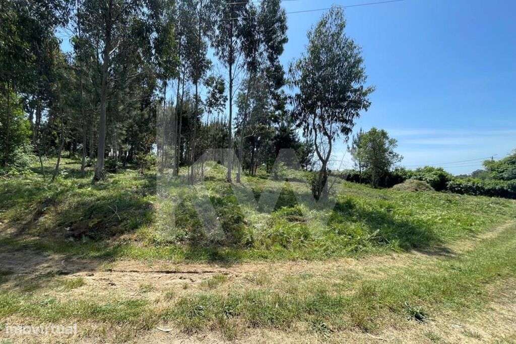 TERRENO PLANO - Grande imagem: 3/6