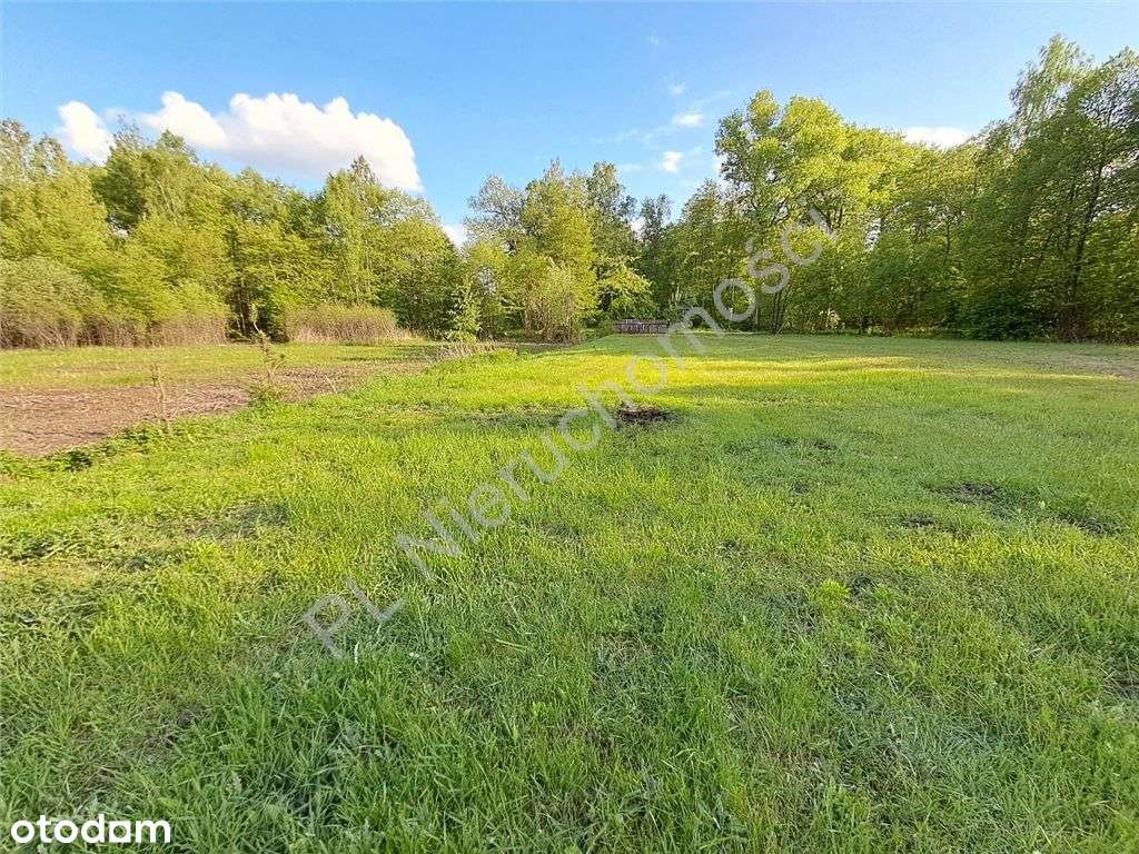 Teren inwestycyjny - usługi - hotel, agroturystyka - Pełny obrazek: 5/13