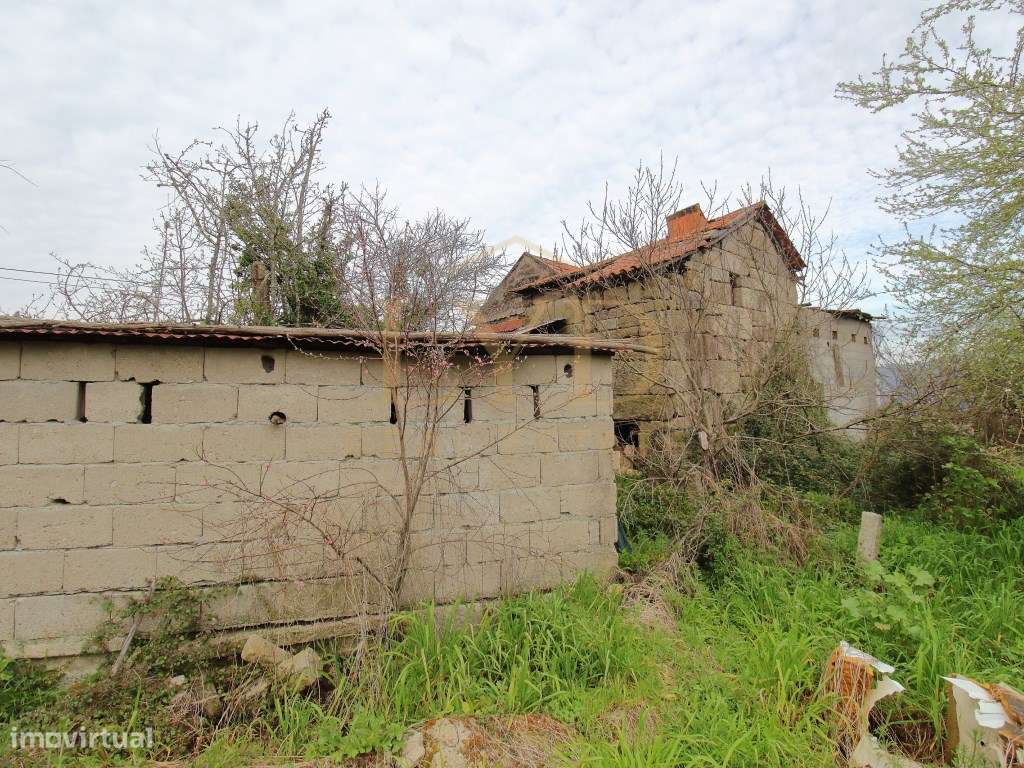 Quintinha para recuperar em Luzim Penafiel - Grande imagem: 3/15