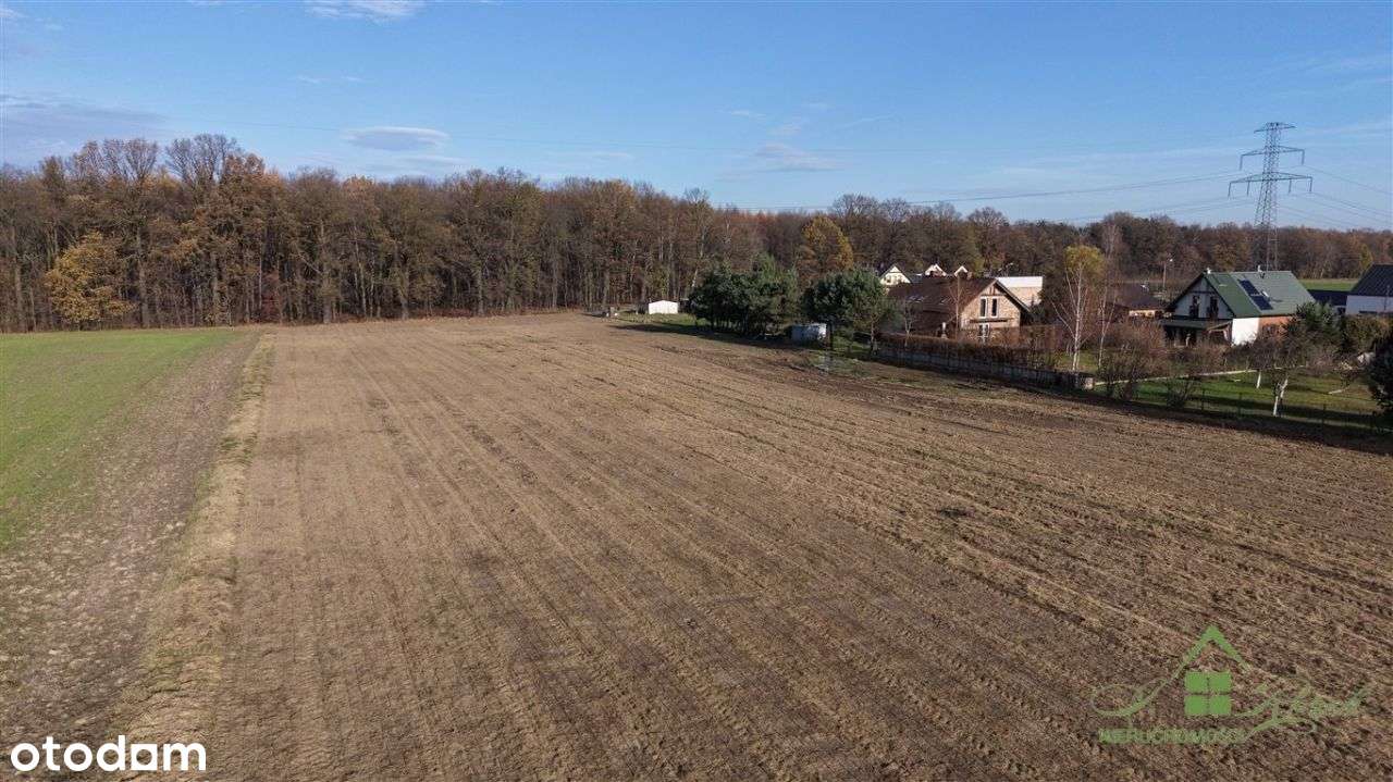 16 Działek Budowlanych – Orzesze, Ul. Truskawkowa-2