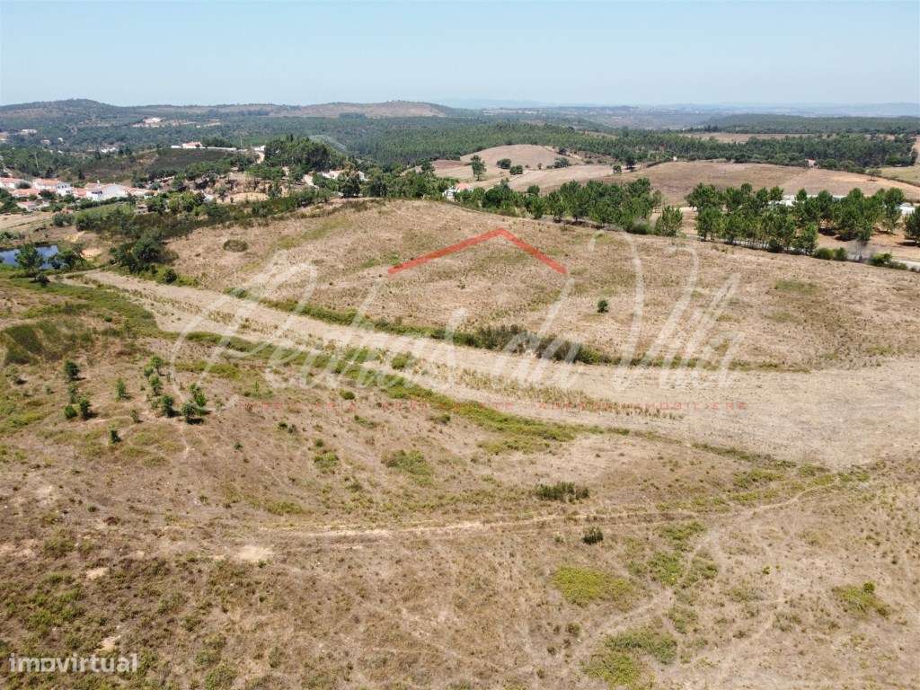 Quinta de 25ha com projeto aprovado - São Teotónio - Odemira-23