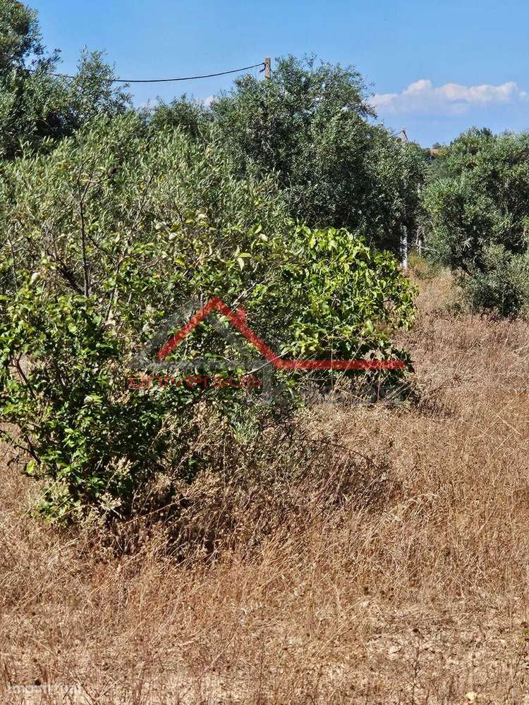 reno rustica   Cabeção - Mora - Grande imagem: 4/5