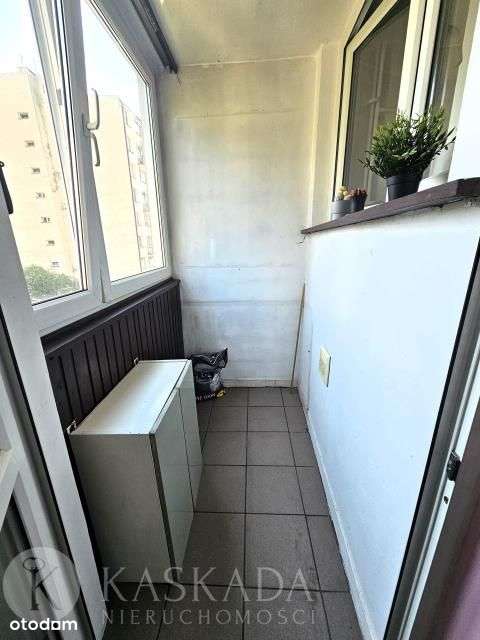 Saska Kępa 2 pok. wśród zieleni Polecam!!! - Pełny obrazek: 5/13