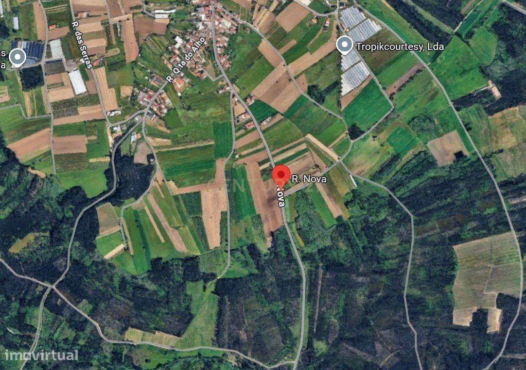 Terreno Agro-Florestal com 30.855 m² – Quinta da Ponte, Ouca (Vagos)-1