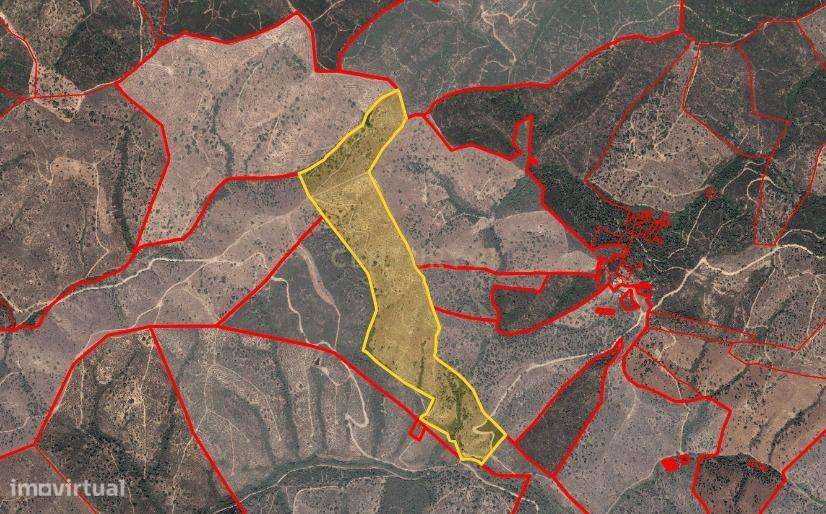 Terreno de 10Hetares com sobreiros. - Grande imagem: 2/4