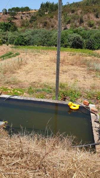 Quinta em Monchique - Grande imagem: 3/7