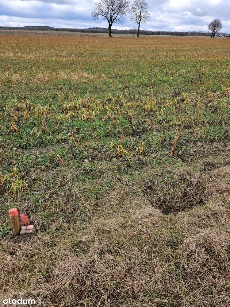 Działka budowlana w Białej-13