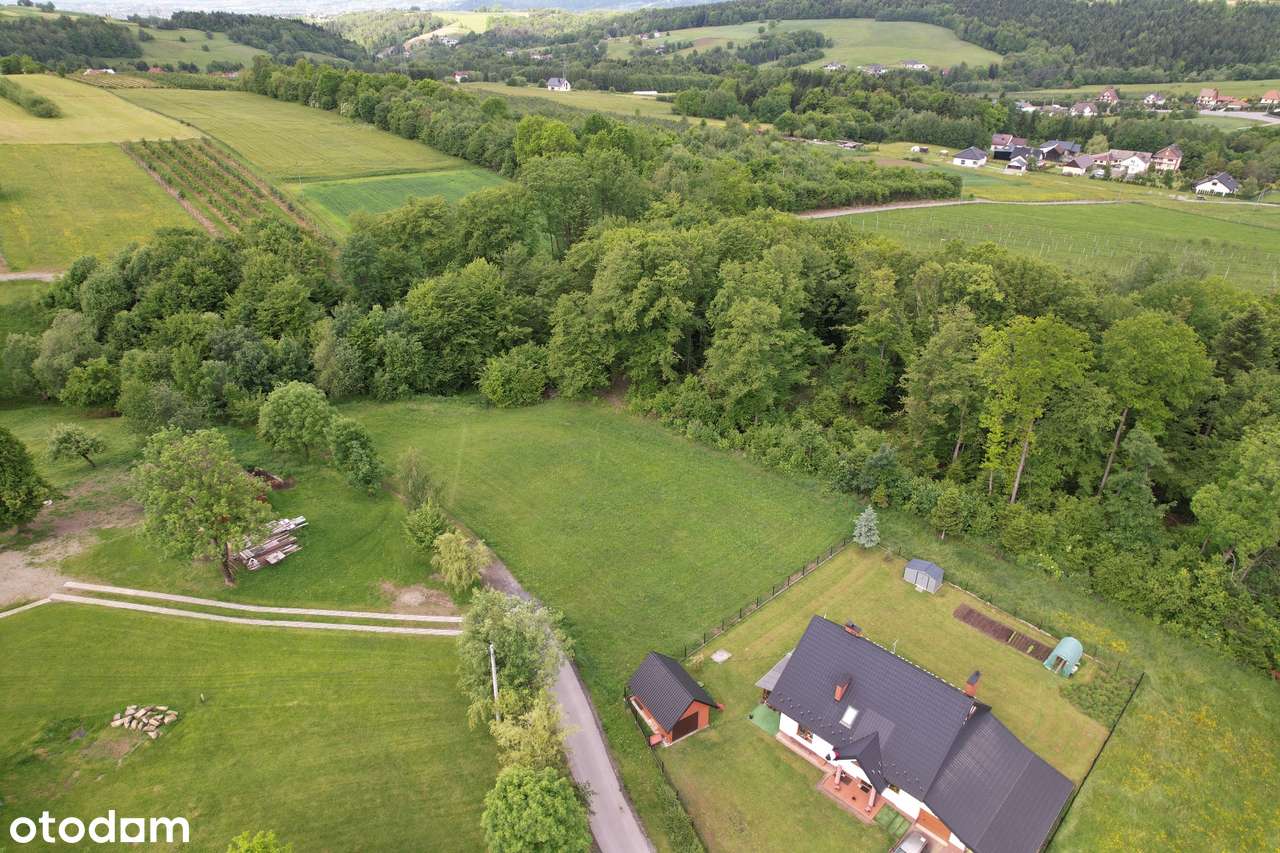 Działka, 3 351 m², Librantowa - Pełny obrazek: 4/7