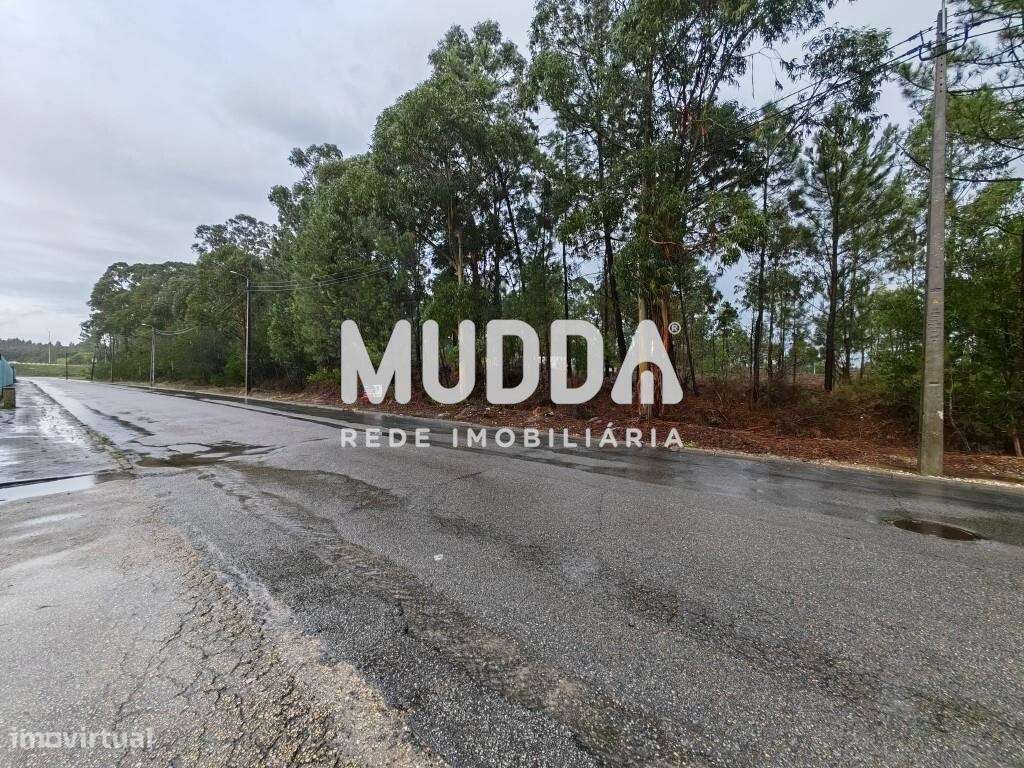 Terreno Industrial, A1 Saída Aveiro-Sul - Grande imagem: 5/5