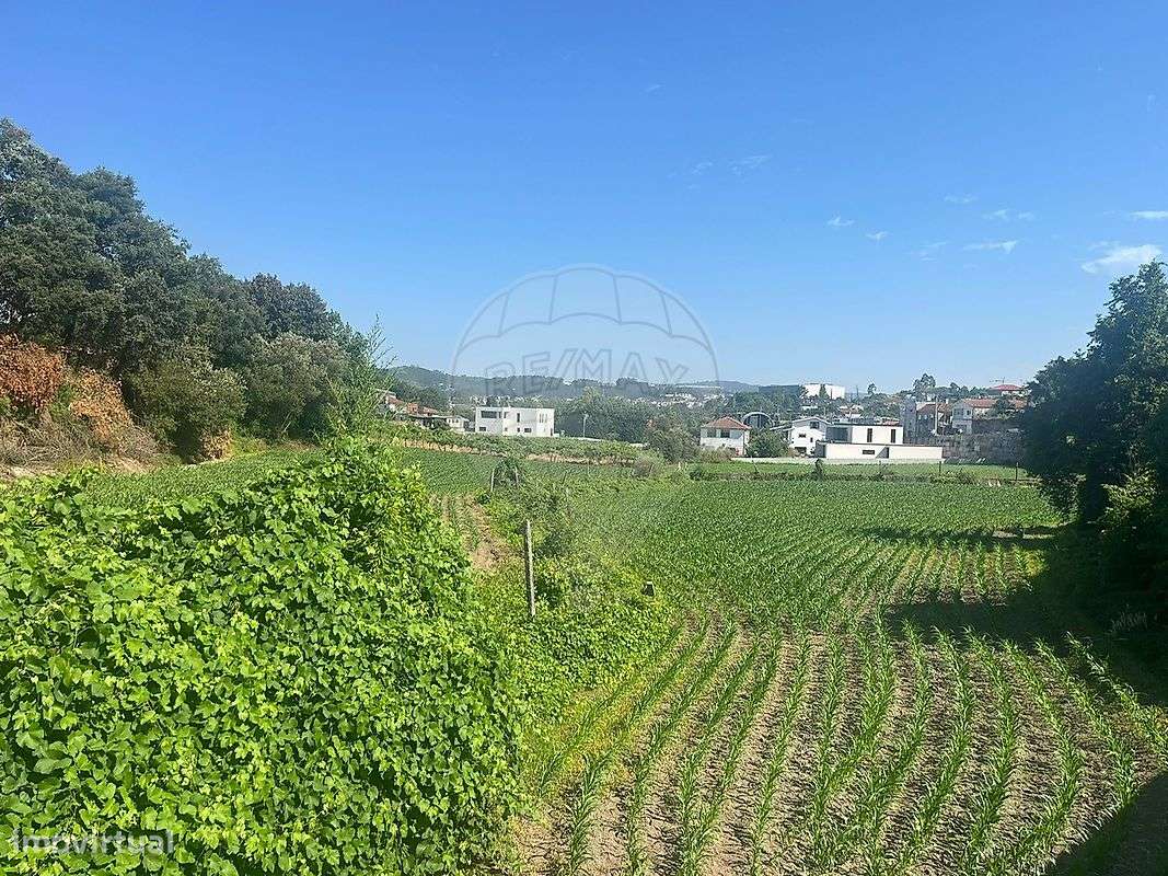 Terreno  para arrendamento - Grande imagem: 4/5