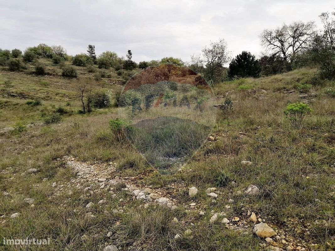 Terreno  para venda - Grande imagem: 5/6