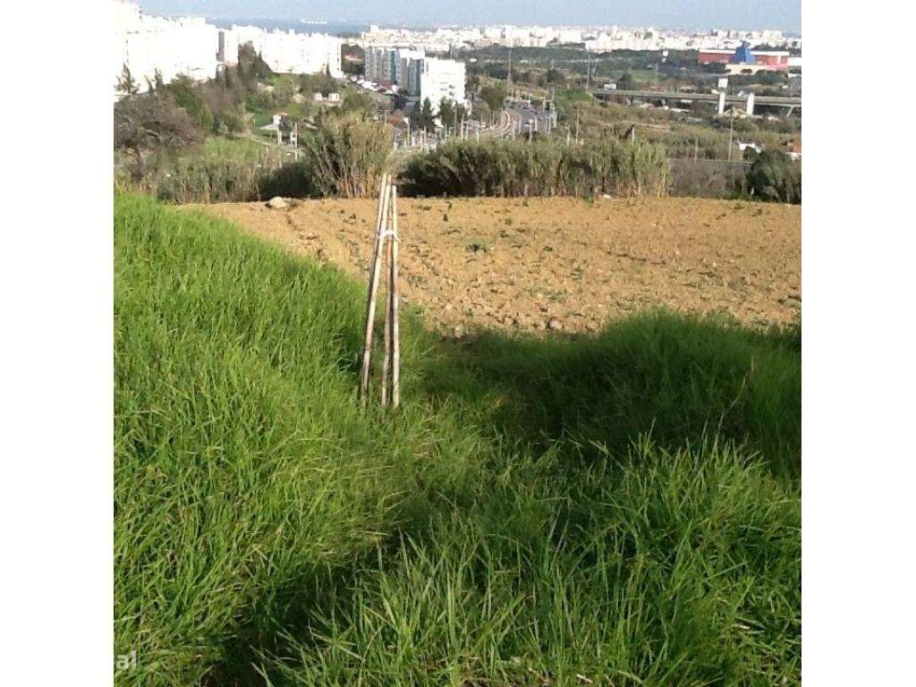 Terreno para construção com 8.800m2,  Monte Caparica perto de praias-19