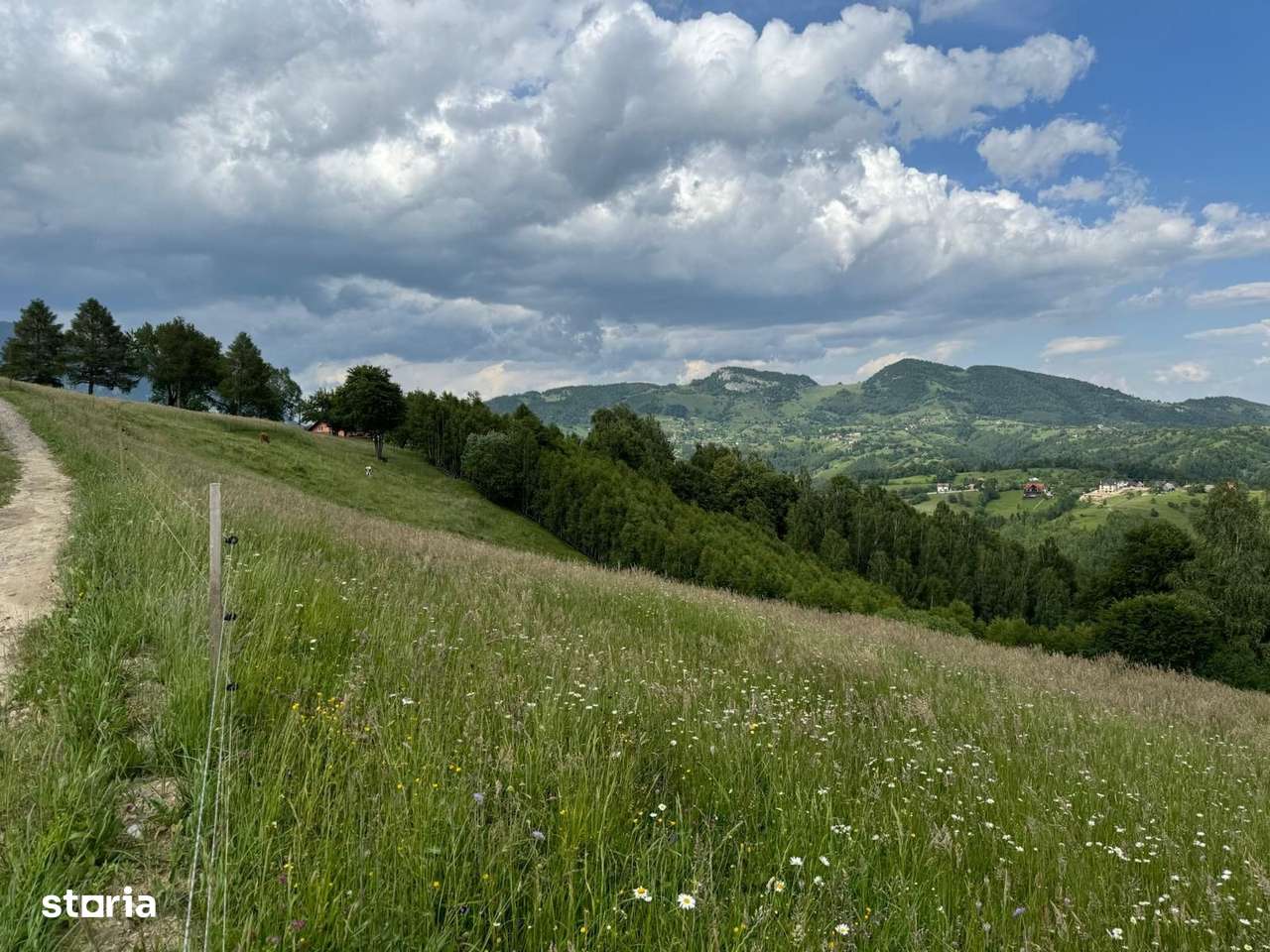 Teren inconjurat de natura de vanzare in Pestera - Imagine principală: 5/11