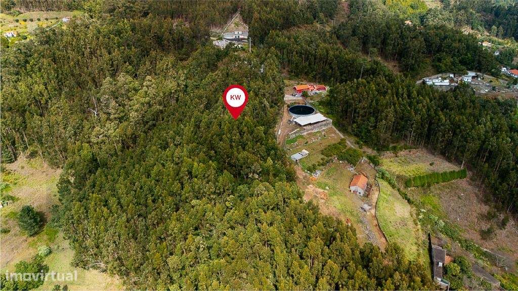 Terreno Agrícola com excelente exposição solar na Camacha  destinado à - Grande imagem: 3/15