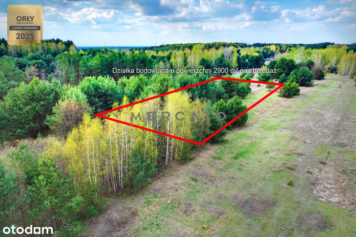 Działka Regut 2900 m2-9