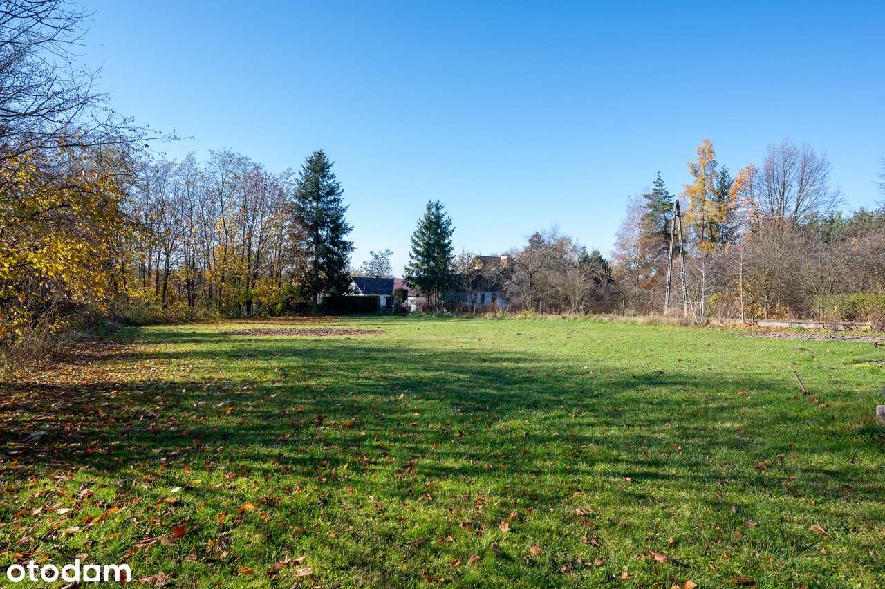 Dom 436 m2 na 45 arowej działce | tuż obok Szpitala i Parku Miejskiego - Pełny obrazek: 5/19