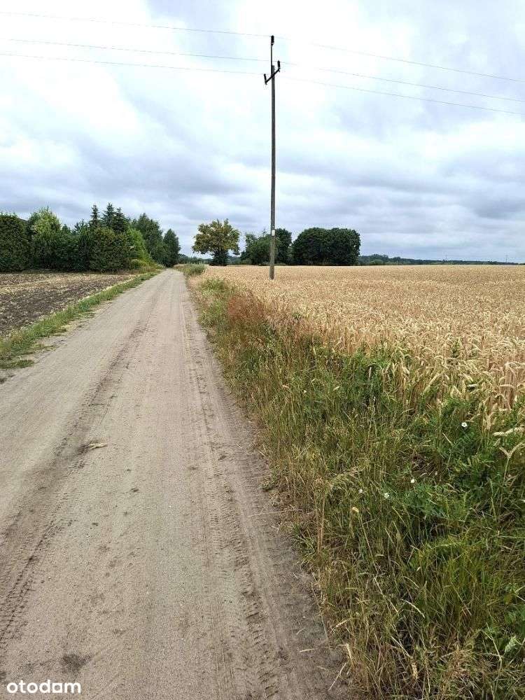 Działka, 985 m², Grzebienisko-4