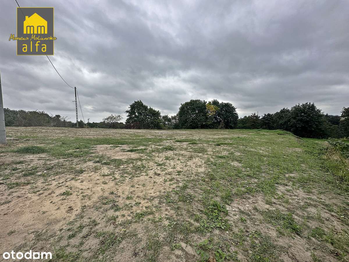Nowe*Nowy Świat*Działka 3773m2*OD Zaraz-7