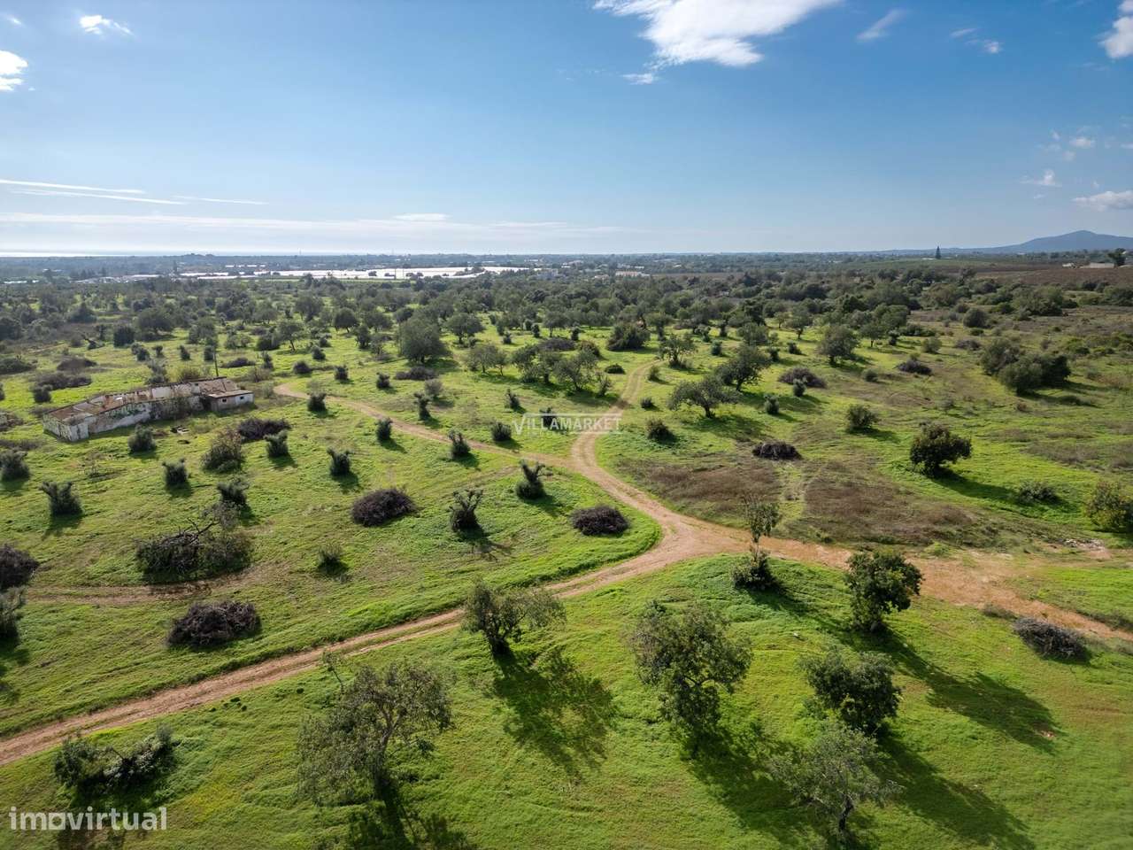 Terreno urbano com 21,8 hectares situado na ligação entre a A22 e o ce-12