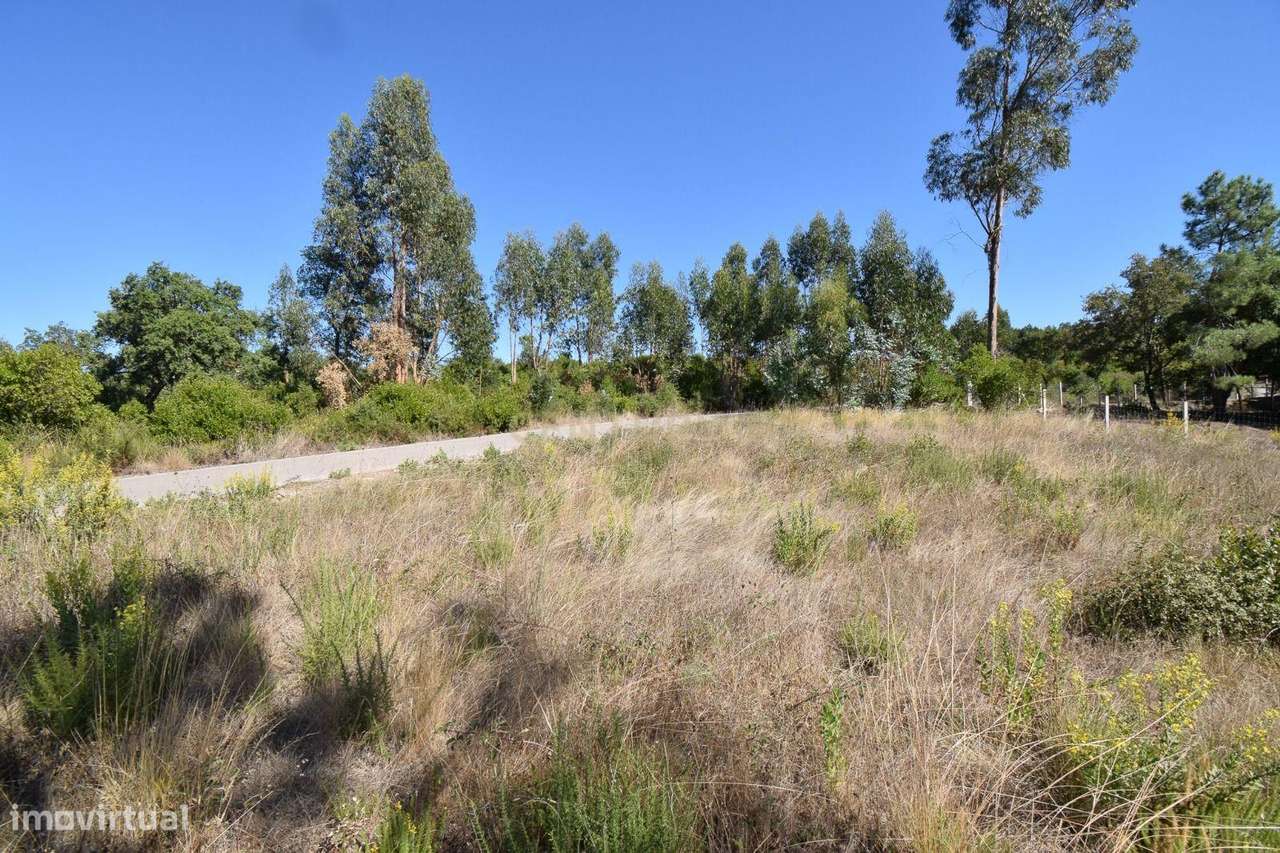 Terreno com viabilidade de construção em Chão de Couce, Ansião por 21. - Grande imagem: 5/6