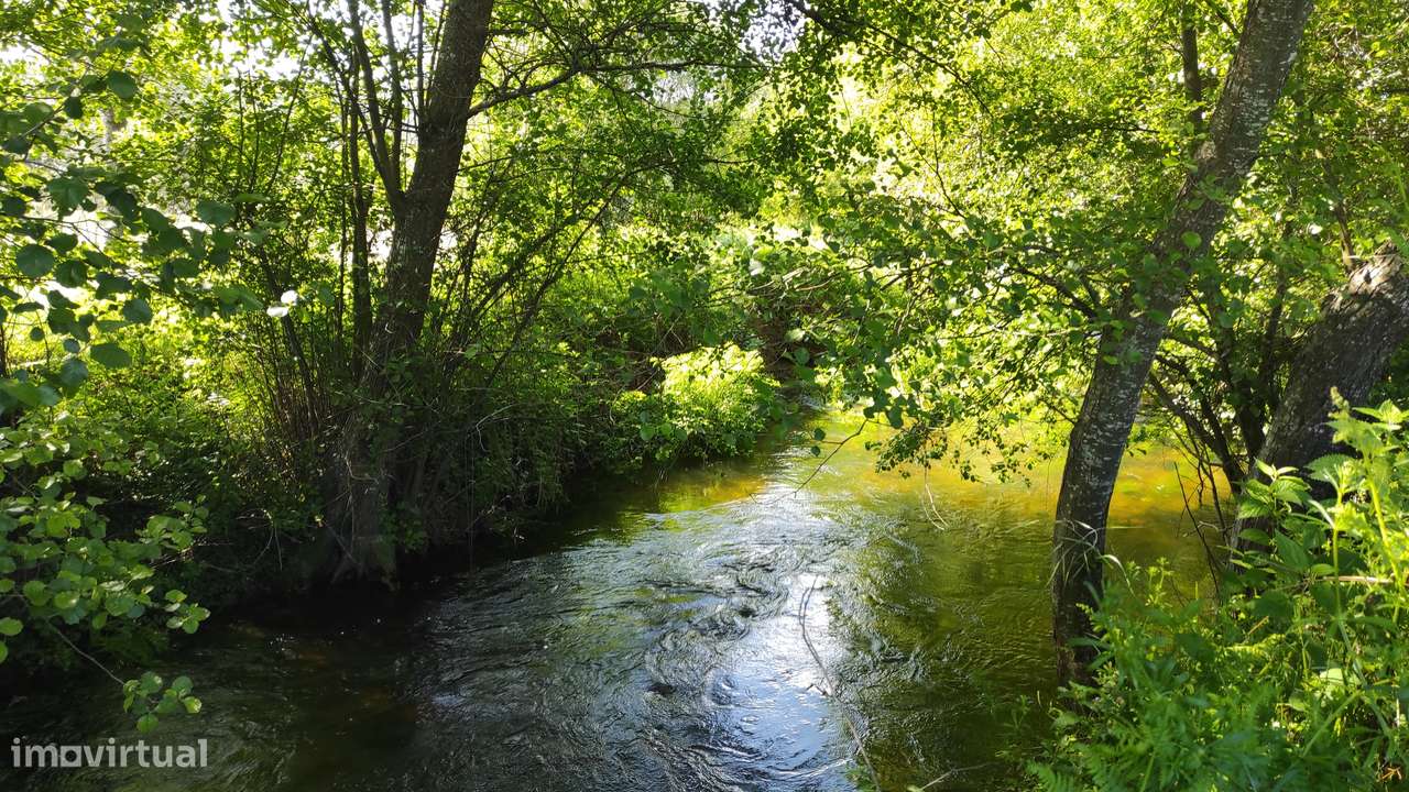 Quinta com Vista para a Serra da Estrela – Um Refúgio Natural-10