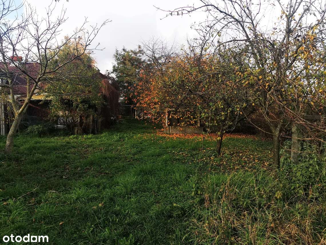 działka 2681m2/ budynek 50m2/ możliwość budowy domu-12