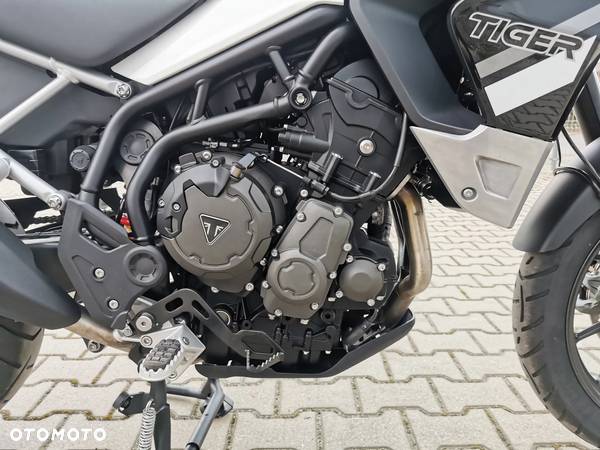 Triumph Tiger - 14