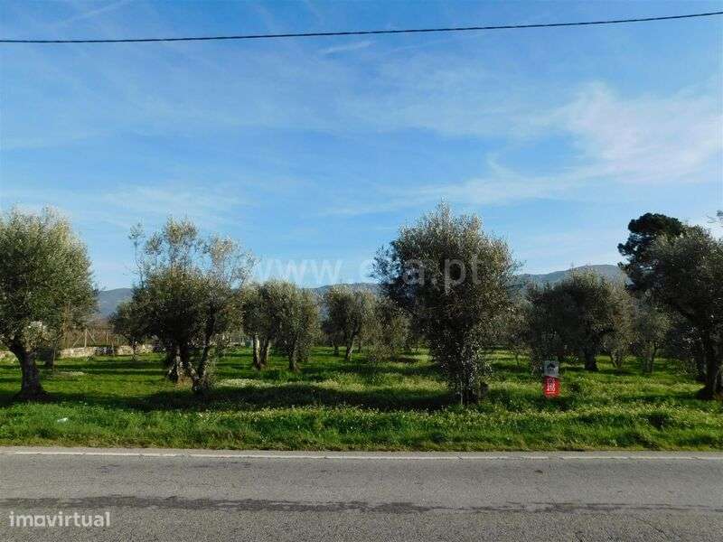 Terreno Rústico / Gouveia, Lagarinhos - Grande imagem: 3/6