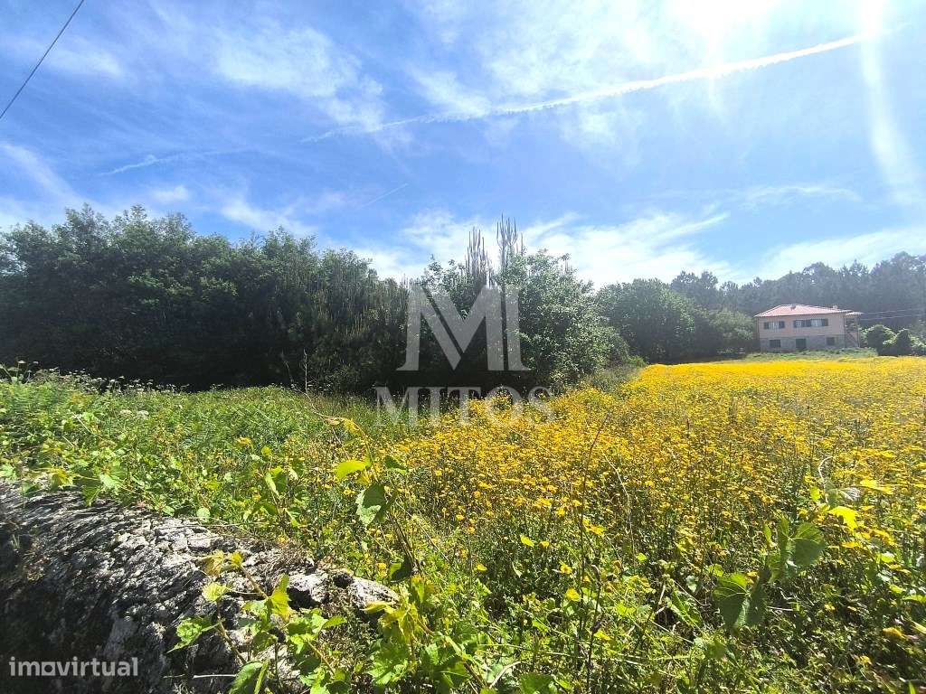 Terreno de construção para venda em Vila Fria - Viana do Castelo - Grande imagem: 3/10