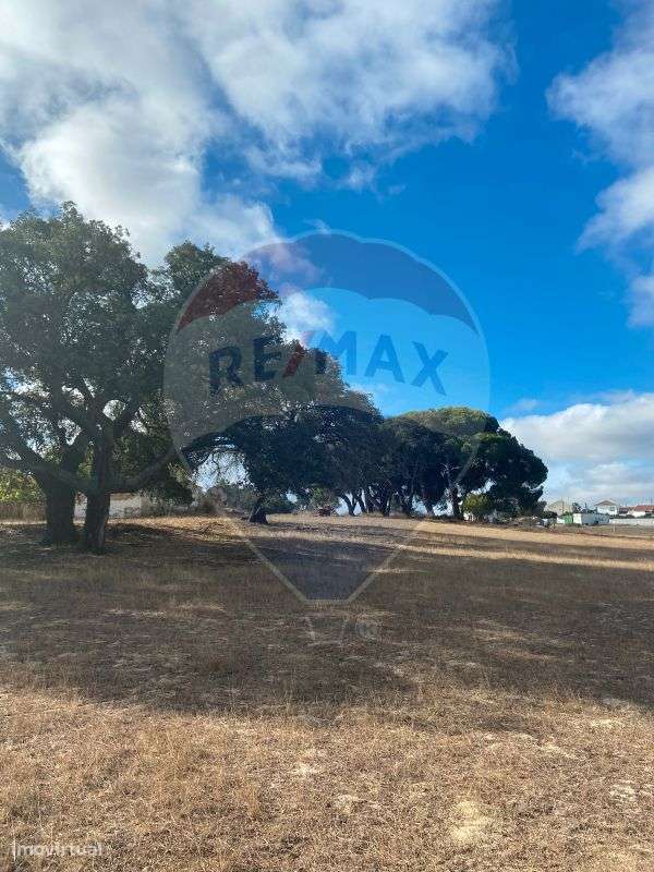 Quinta  para venda - Grande imagem: 2/24