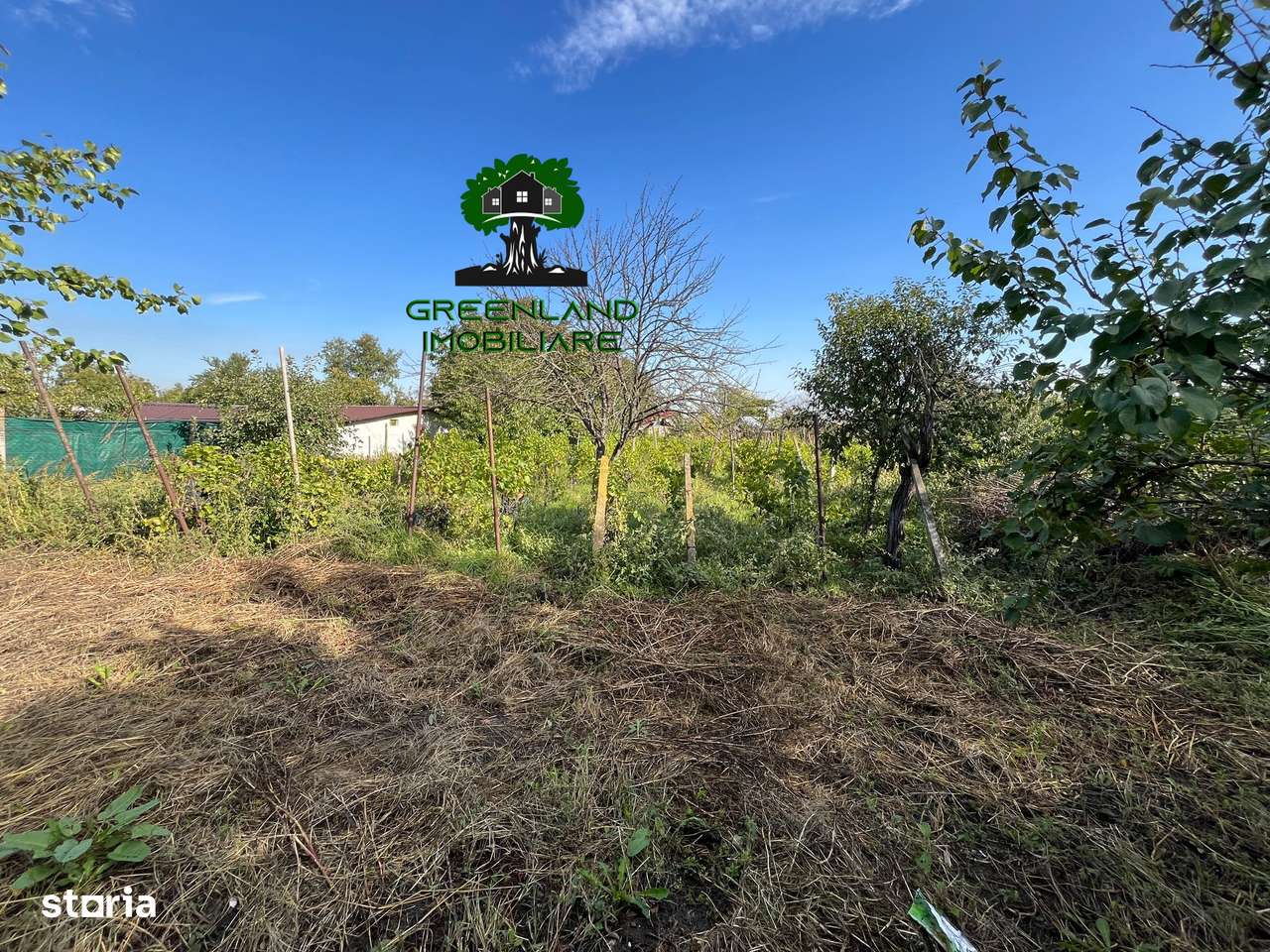 Casa Batraneasca, 90 mp,  bine INGRIJITA, 1800 mp Teren, Costuleni - Imagine principală: 4/6