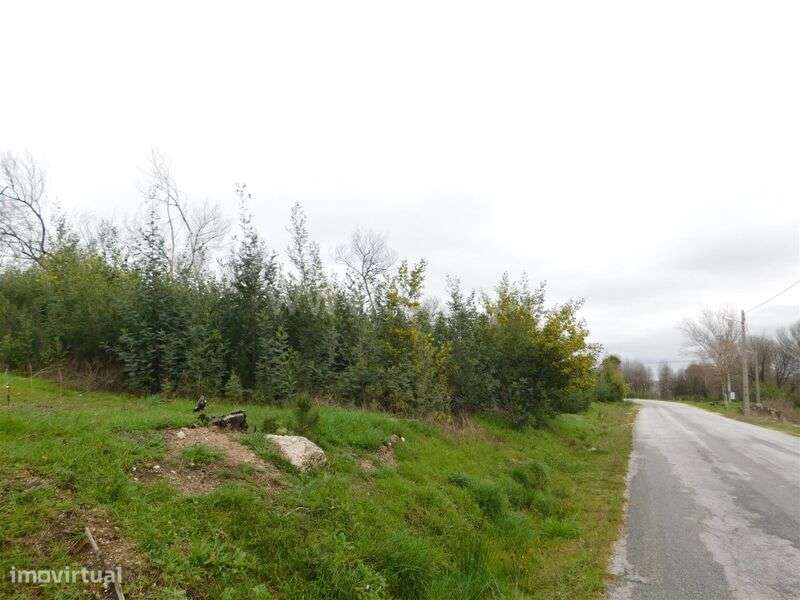 Terreno / Gouveia, Rio Torto - Grande imagem: 5/8