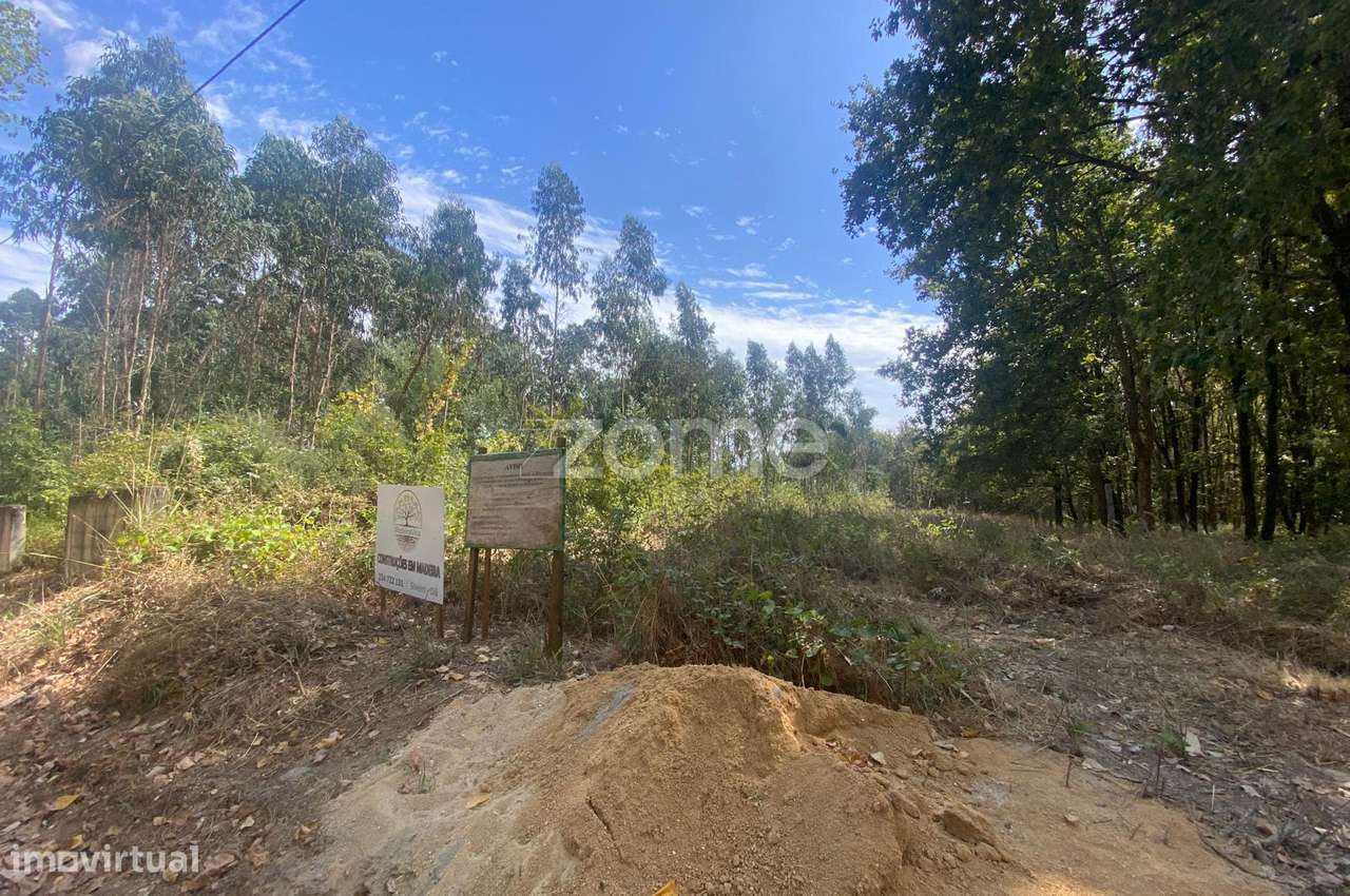 Lote de terreno Urbano - Grande imagem: 4/18