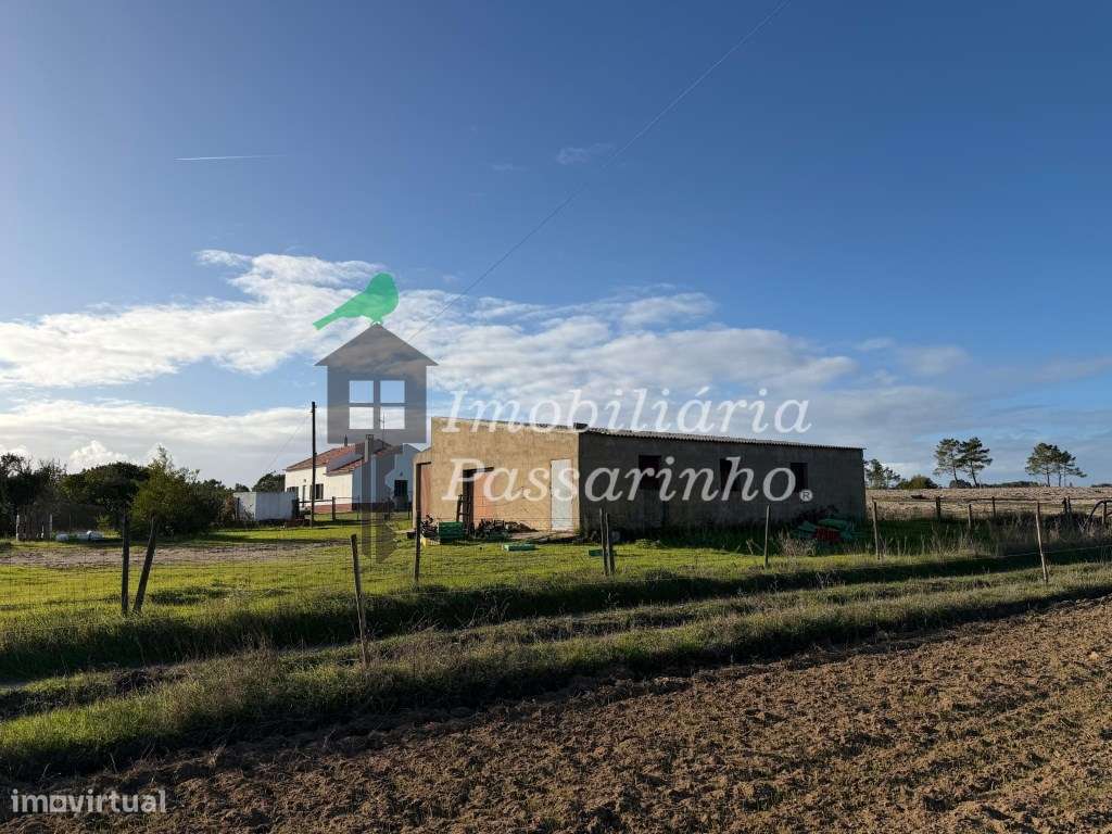 Herdade c/ habitação T2+2 - Aljezur-11