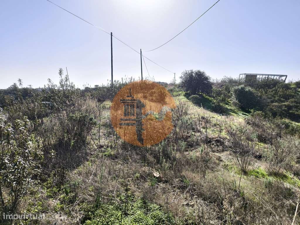 TERRENO COM 2.120 M² - COM TERRAÇOS - JUNTO AO ASFALTO - NA CORTE D... - Grande imagem: 5/19