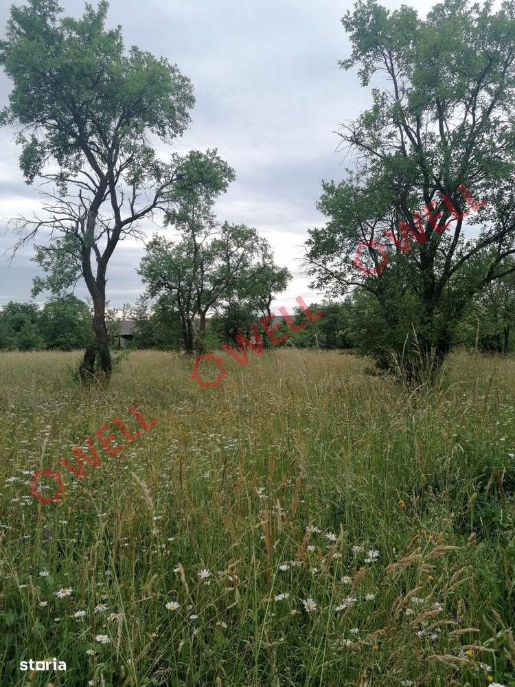 De vânzare două parcele de teren intravilan în Harale (Ghelința) - Imagine principală: 3/7
